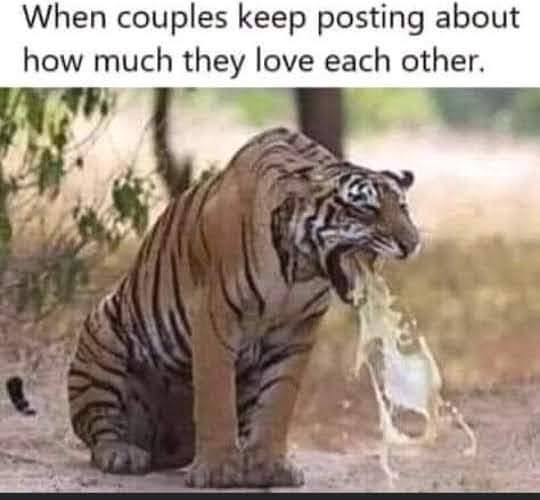 When You See Couples Posting About How Much they love Each Other 1 When You See Couples Posting About How Much they love Each Other