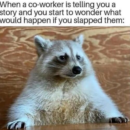 When A Coworker Is Telling You A Story - Animals