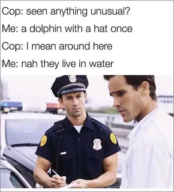 When Cops Asks If You've Seen Anything Unusual 1 When cop asks if you've seen anything unusual