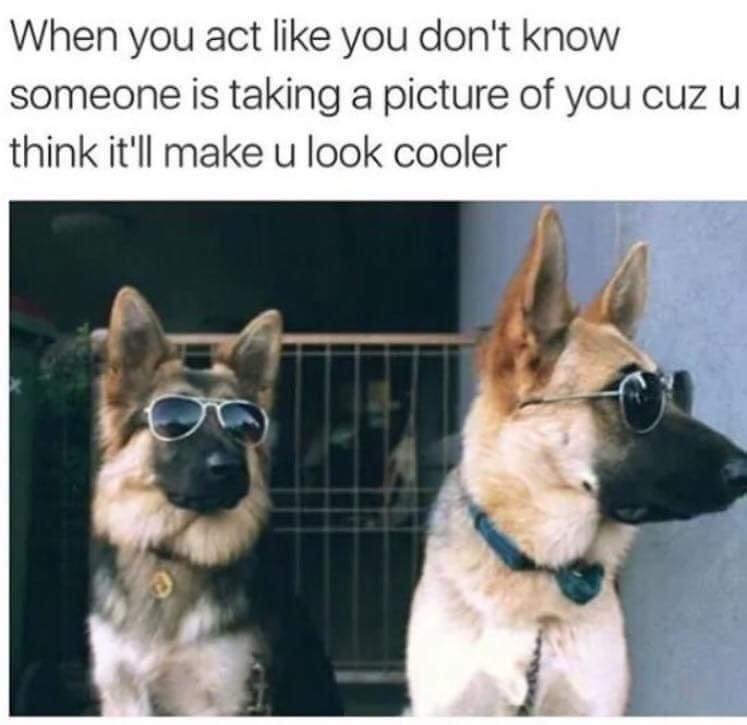 How To Look Cooler In Picture 1 When you act like you don't know someone is taking picture of you cuz u think ill make you look cooler
