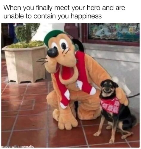 30 Funny "Dog Memes" That Will Surely Make You Smile 2 When you finally meet your hero - dog memes