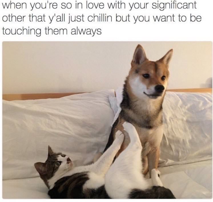 40 Relationship Memes That Captures The Chaos Of Being In A Relationship 27 When you want to be touching them always