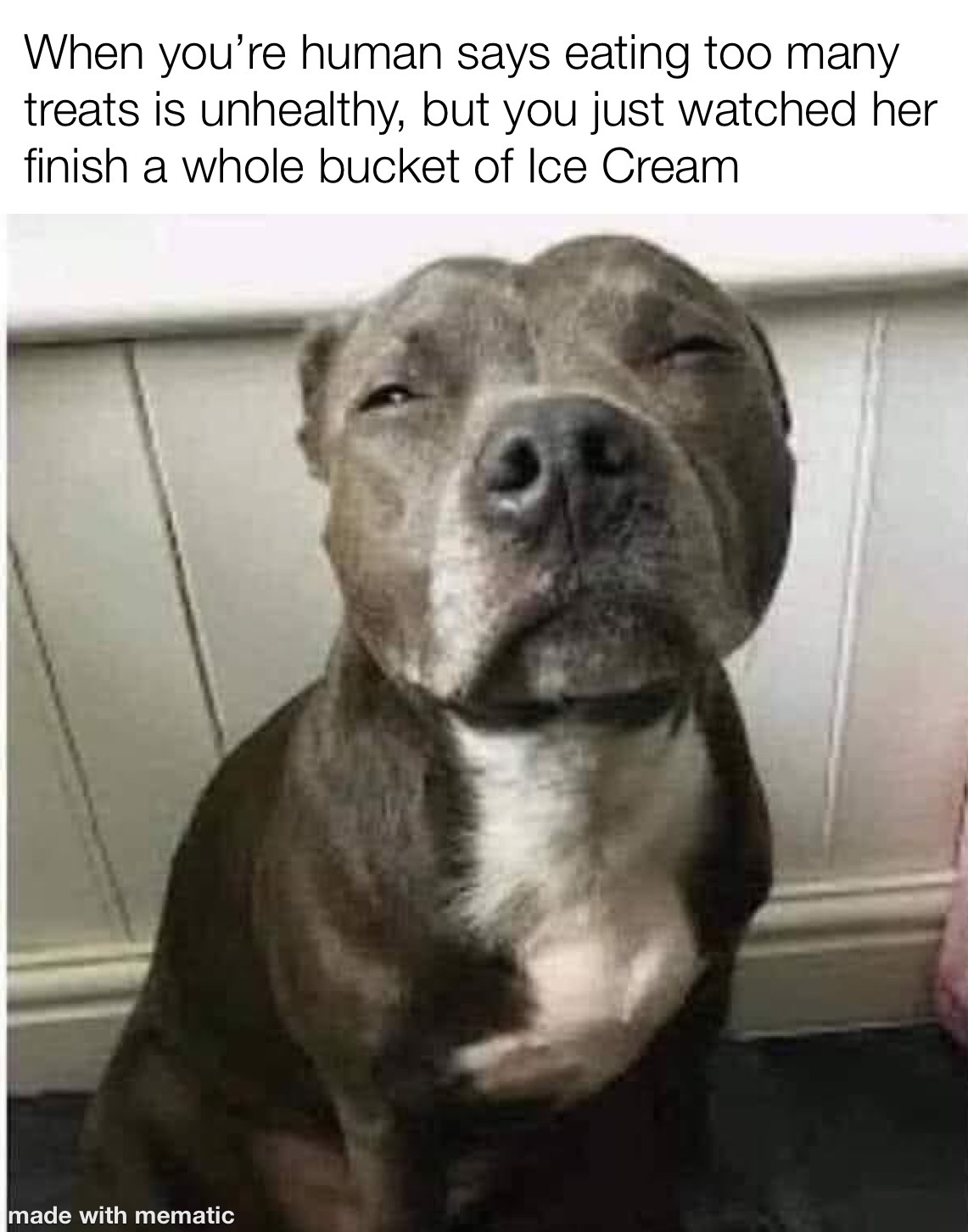 Hypocrisy Has No Limits 1 When you're human says eating too many treats is unhealthy