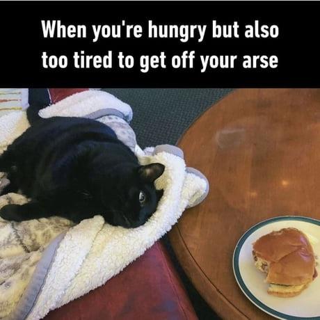 21 Funny "The Struggle Is Real Memes" That'll Make Your Day Struggle Free 20 When you're hungry but also tired to get off your arse