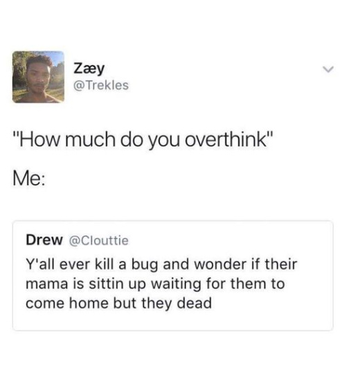 20 "Overthinking Memes" That Are Way Too Accurate 19 Yall ever kill a bug meme
