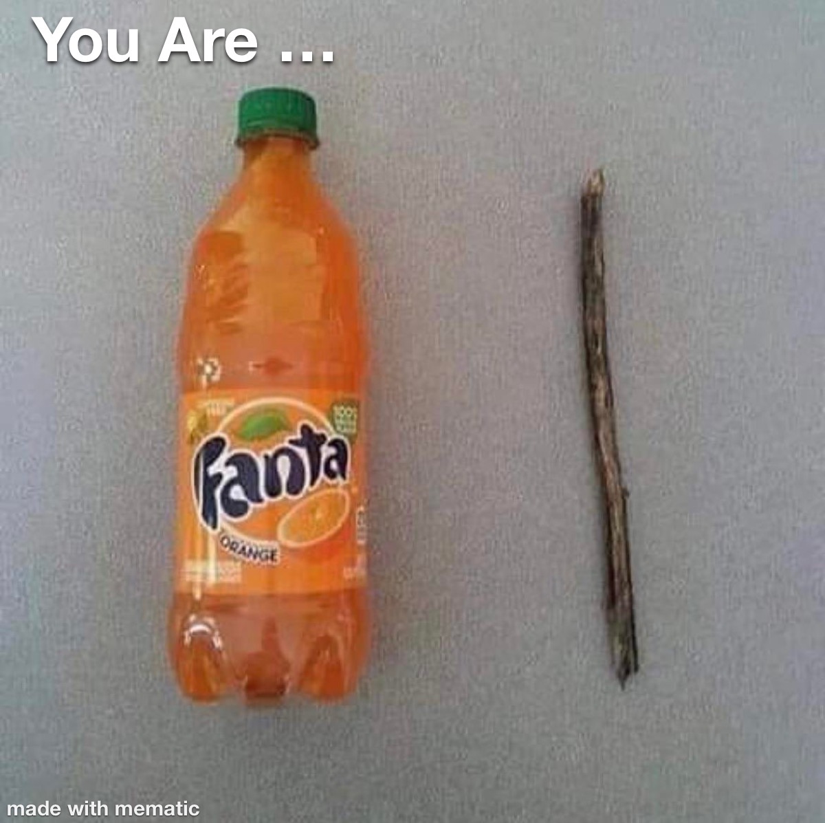 You Are... 1 You Are...