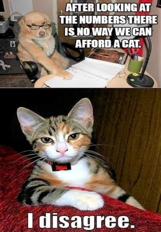 28 Cat Vs Dog Memes To Show Who Is Superior 1 after looking at the numbers we cant afford a cat
