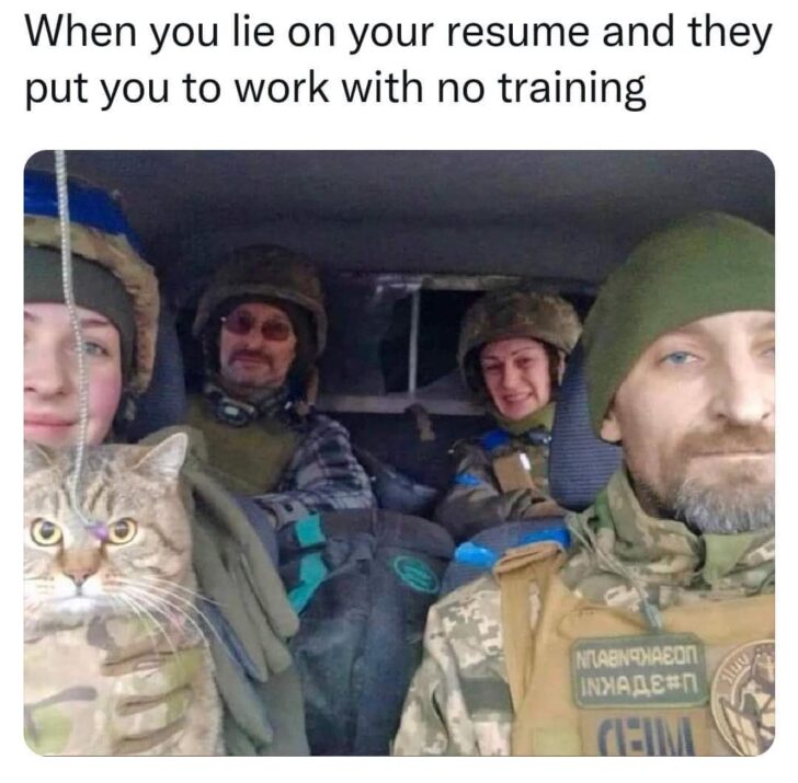 20 "When You Lie On Your Resume But Still Get The Job" Memes 6 cat in army