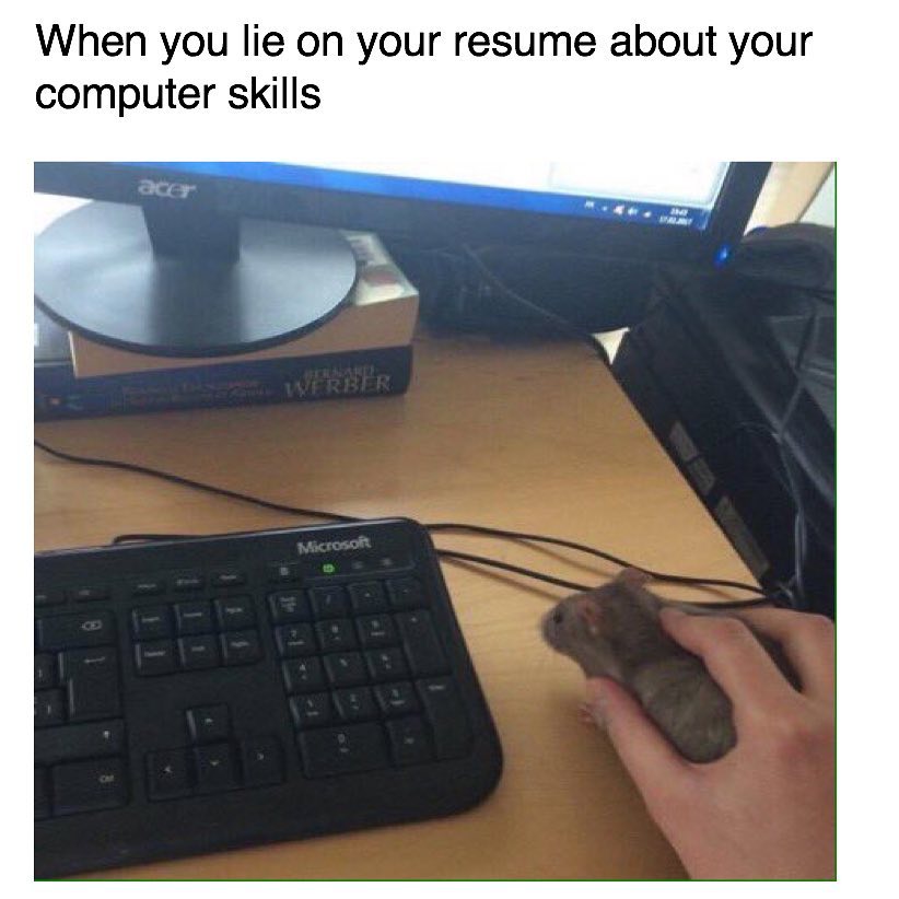 20 "When You Lie On Your Resume But Still Get The Job" Memes 7 computer mouse meme