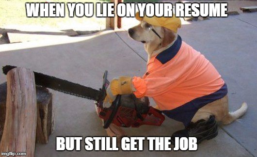 20 "When You Lie On Your Resume But Still Get The Job" Memes 9 dog as construction worker