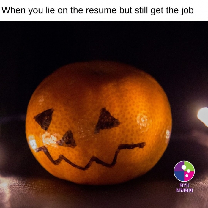 20 "When You Lie On Your Resume But Still Get The Job" Memes 13 Halloween pumpkin meme