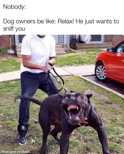 30 Funny "Dog Memes" That Will Surely Make You Smile 4 relax he just want to sniff you - dog memes