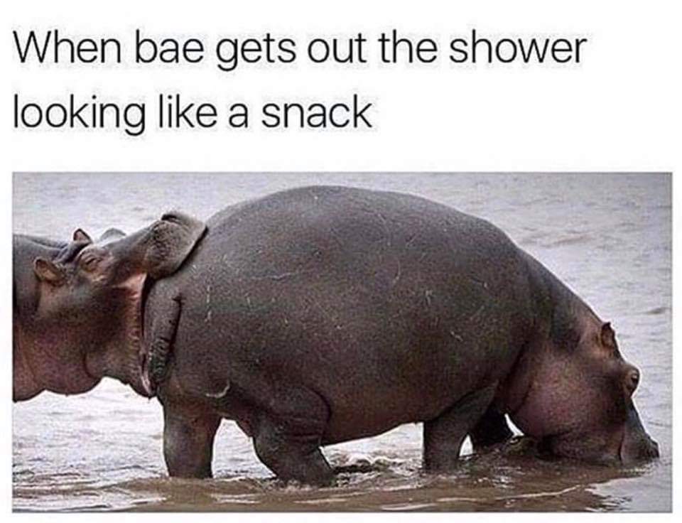 40 Relationship Memes That Captures The Chaos Of Being In A Relationship 12 when bae gets out of shower looking like a snack