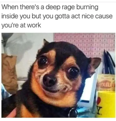 35 Work Memes To Look At When Your Boss Is Not Around 16 when there is a deep rage burning inside