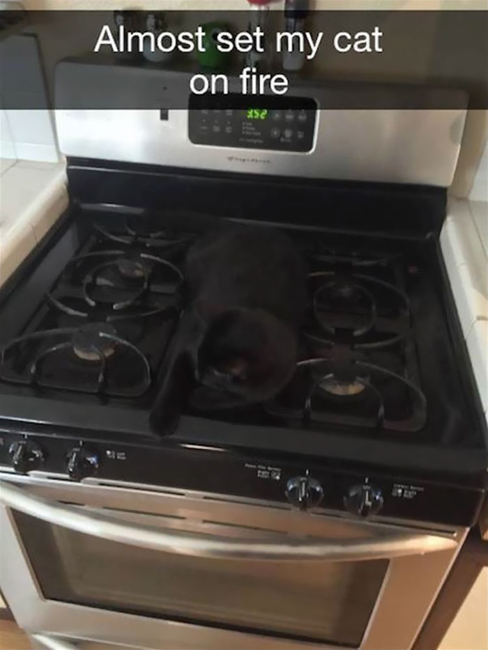 20 Hilarious Cat Snapchats Guaranteed to Make You Laugh 1 Almost set my cat on fire