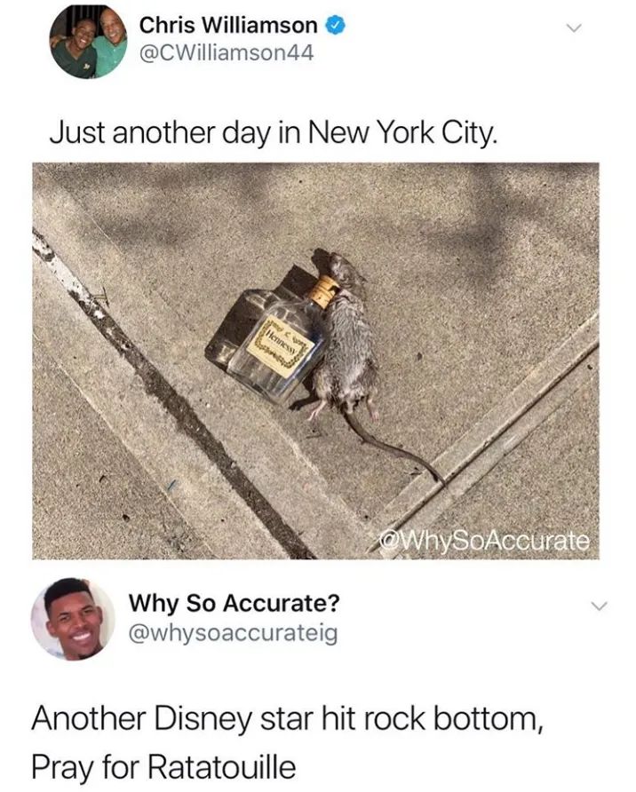 Another Day In New York City And Another Star Hits Rock Bottom 1 Another Day In New York City And Another Star Hits Rock Bottom