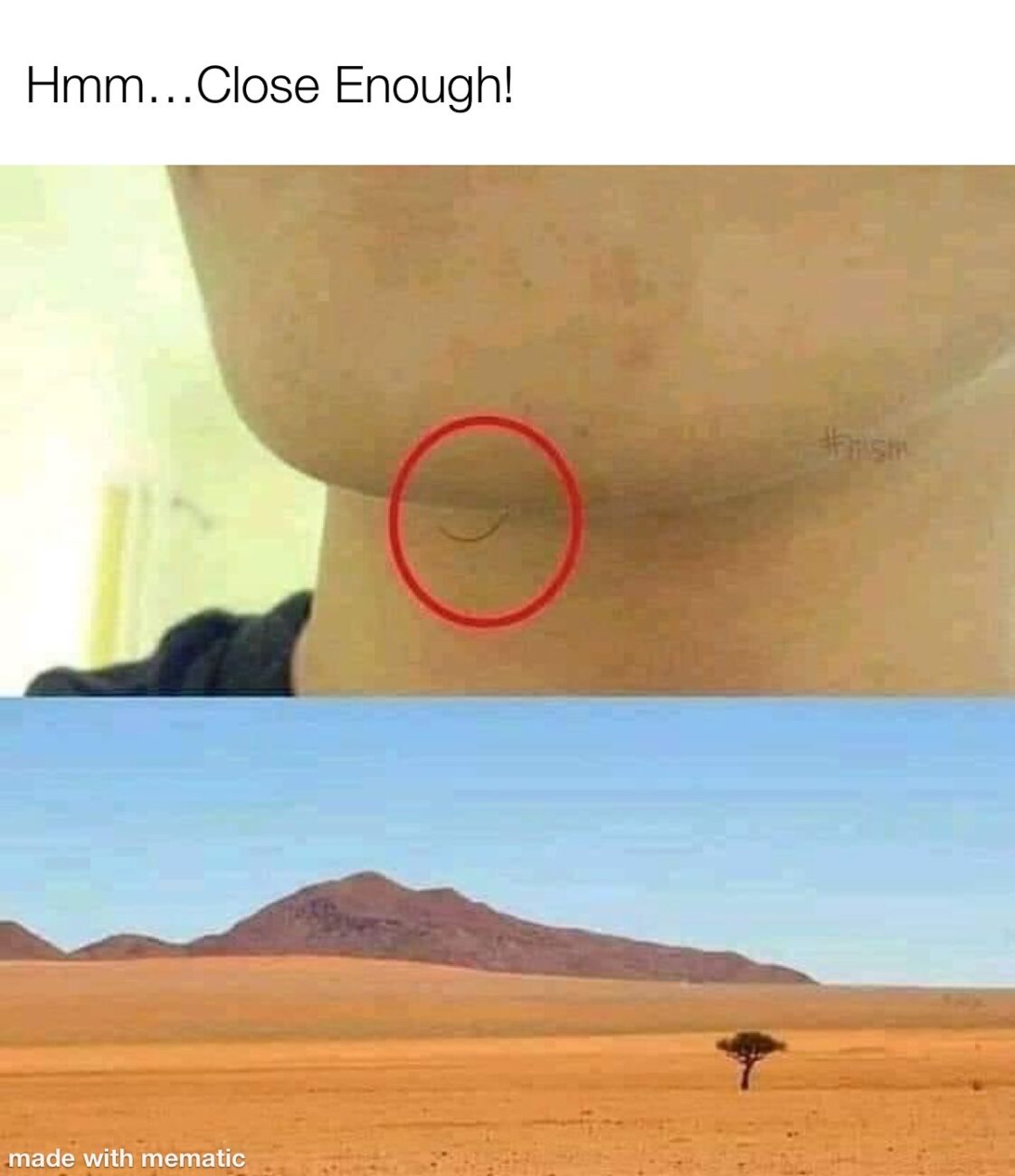 20 "Close Enough" Memes For Those Who Almost Made It 7 Close Enough Meme - Tree