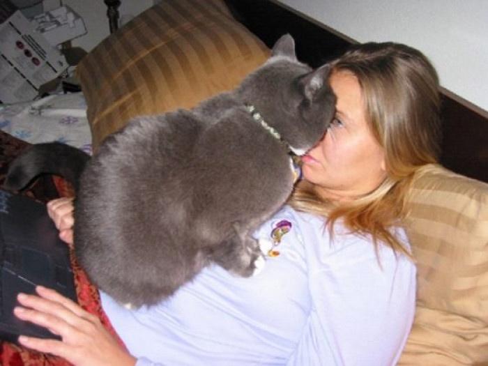 15 Cats That Have No Respect For Your Personal Space 4 Face off