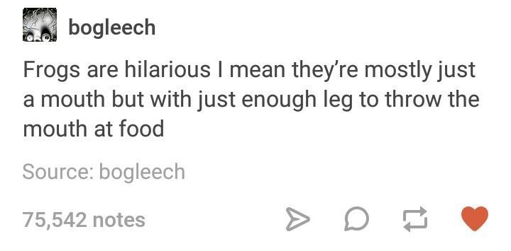 35 Funny Memes That Prove Adulting Is Hard 3 Frogs are hilarious 2