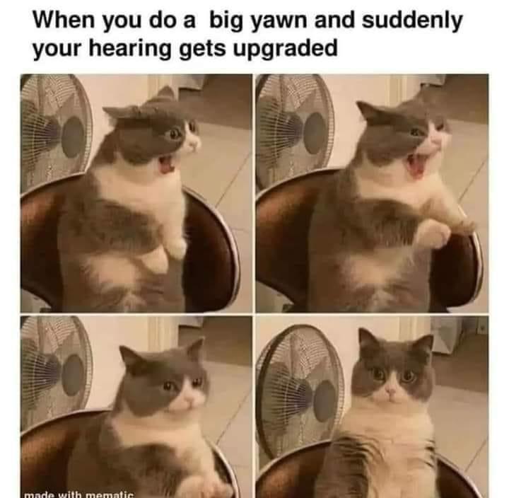 35 Funny Random Memes - A Random Dose Of Happiness 5 Hearing gets upgraded - funny random memes