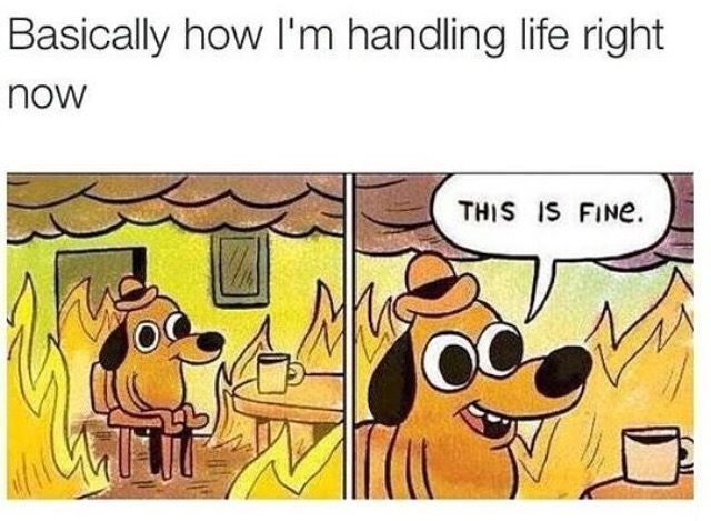 35 Funny Memes That Prove Adulting Is Hard 5 How I'm handling life