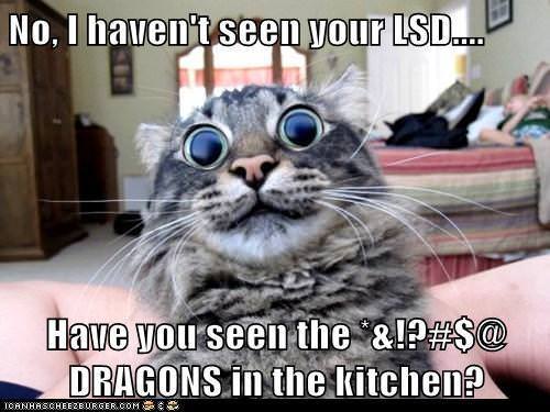 35 Funny Memes That Prove Adulting Is Hard 7 I haven't seen your LSD - Adulting Memes
