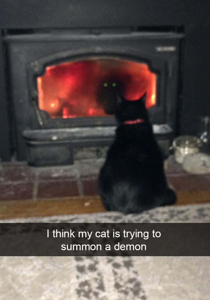 20 Hilarious Cat Snapchats Guaranteed to Make You Laugh 12 I think my cat is trying to summon a demon