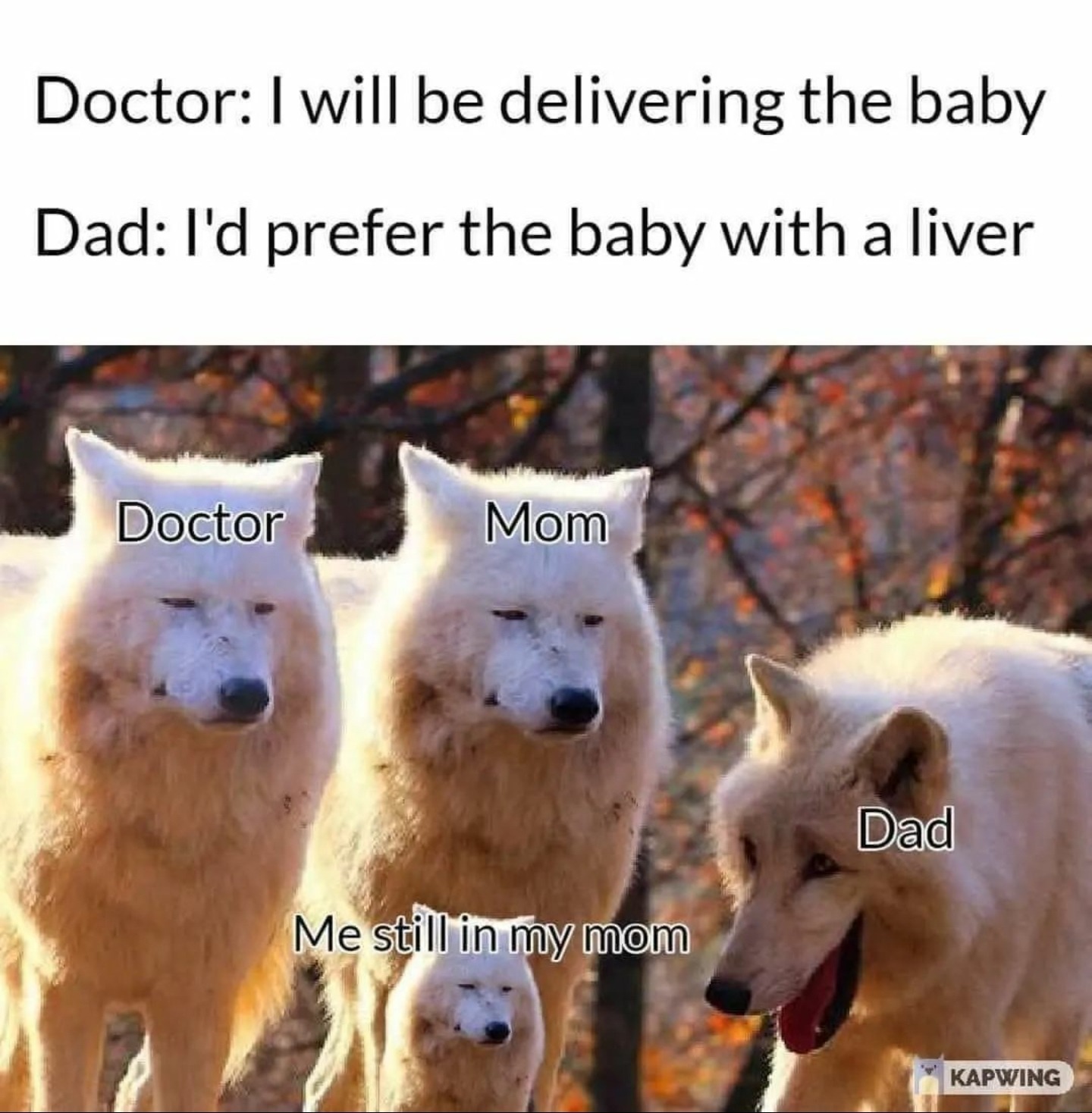 35 Funniest Pun Memes That Are Damn Punny 11 I will be delivering the baby