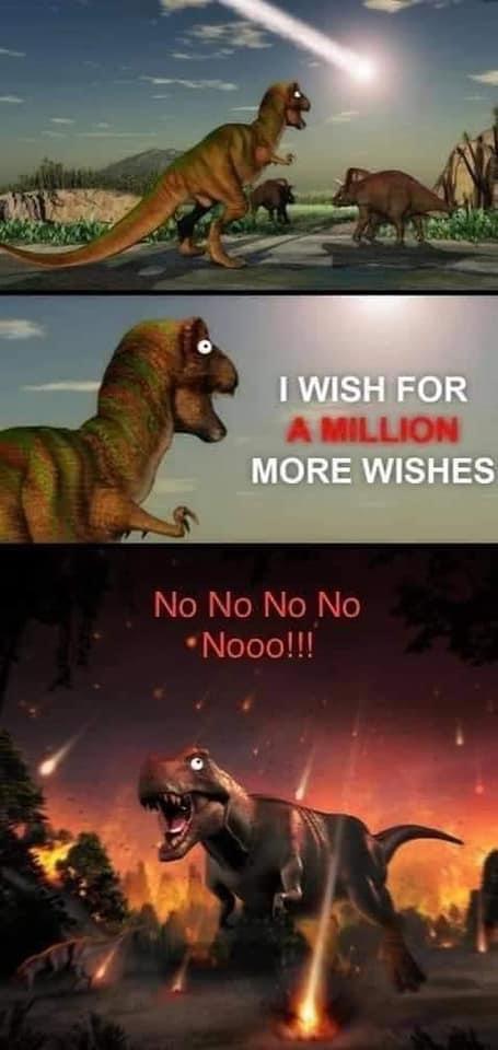 30 Funniest Quirky Memes You Will Ever See! 8 I wish for million wishes