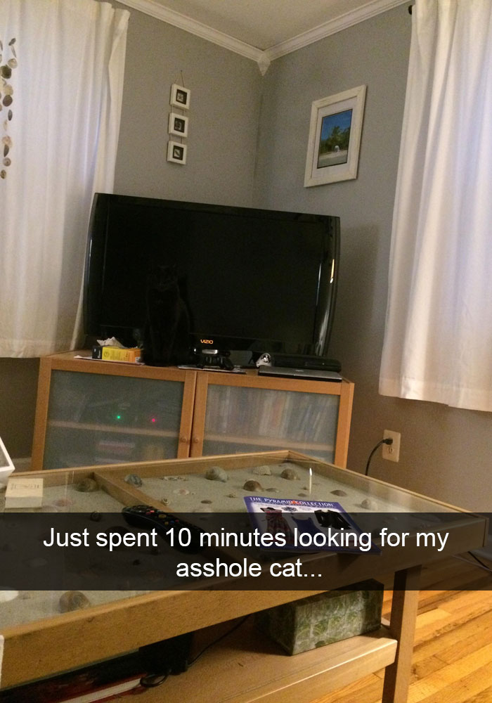 20 Hilarious Cat Snapchats Guaranteed to Make You Laugh 13 Just spent 10 minutes looking for my cat
