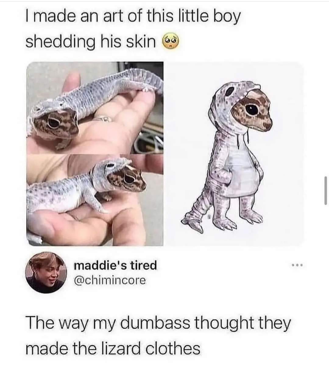 Lizart! 1 Lizart!