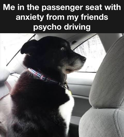 25 Anxiety Memes: The Perfect Cure For Anxiety 7 Me in the passenger seat