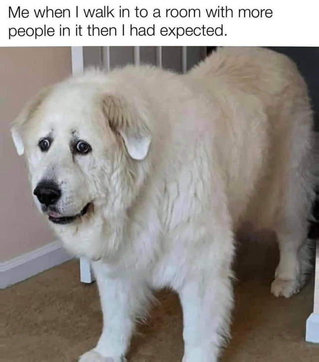 25 Anxiety Memes: The Perfect Cure For Anxiety 10 Me when I walk into a room - anxiety memes