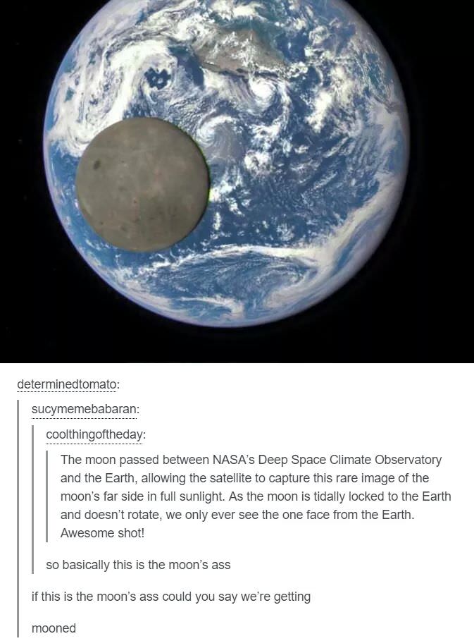 35 Funny Memes That Prove Adulting Is Hard 12 Moon and earth