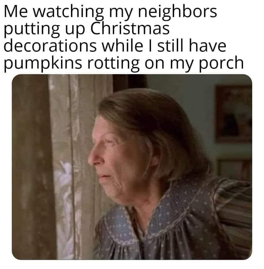 35 Funny Random Memes - A Random Dose Of Happiness 13 My neighbors putting Christmas decoration - funny random memes