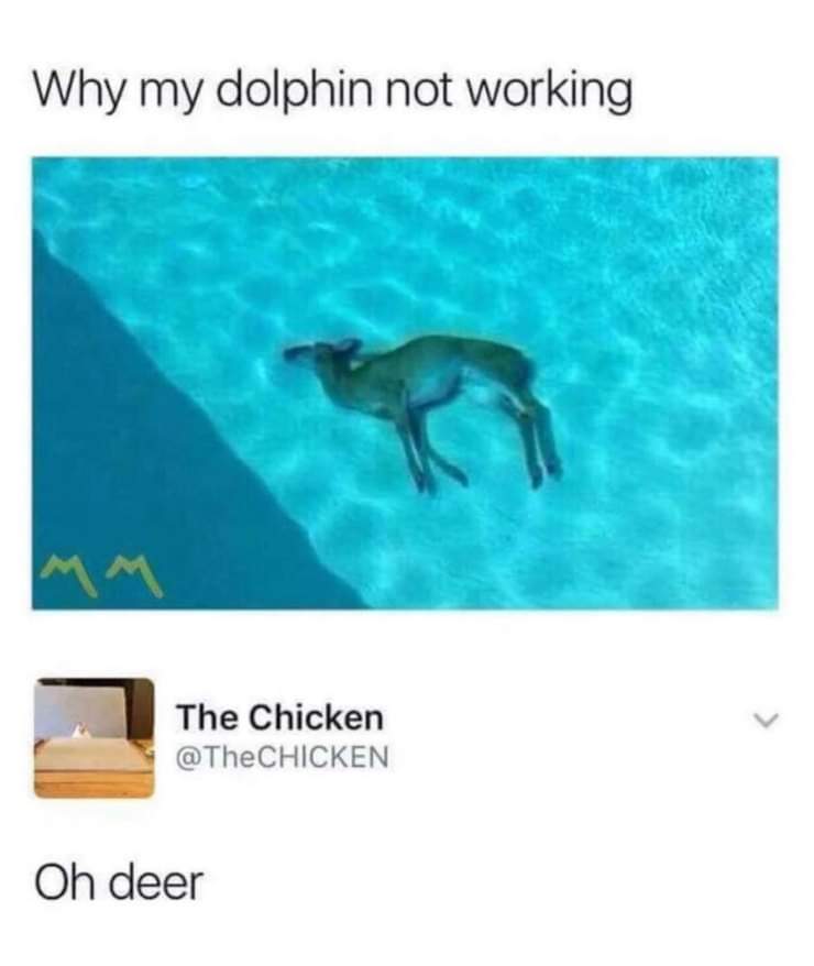Oh Deer! 1 Oh Deer!