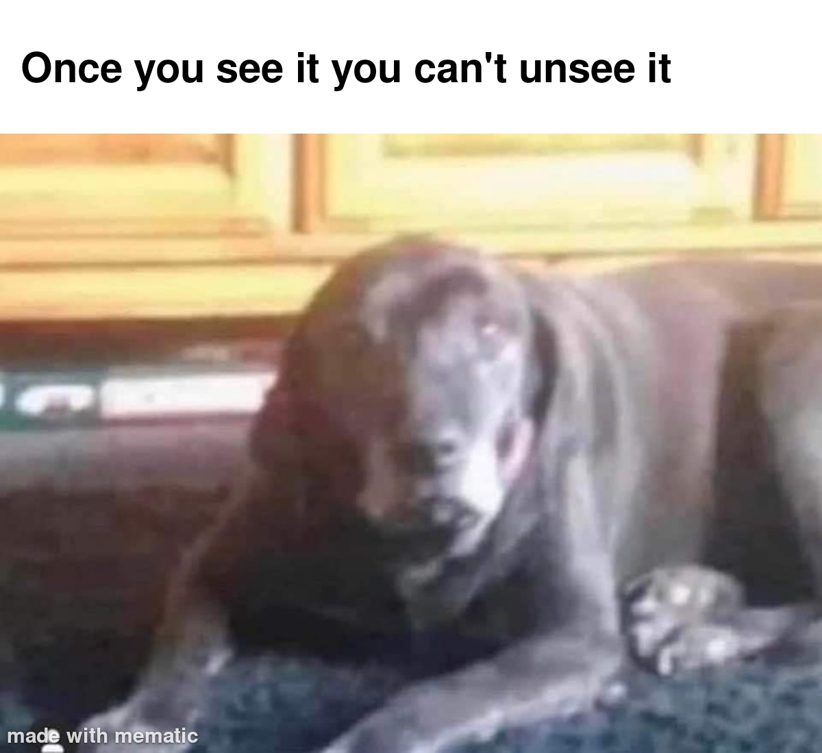One You See It You Cant Unsee It 1 One You See It You Cant Unsee It