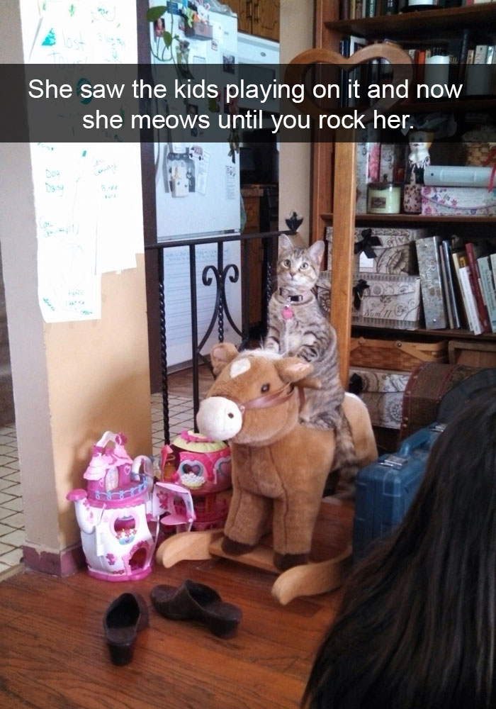 20 Hilarious Cat Snapchats Guaranteed to Make You Laugh 19 She saw the kids playing on it