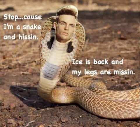 35 Funniest Pun Memes That Are Damn Punny 19 Stop cause Im a snake