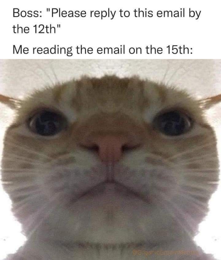 That Moment When You See The Email 1 That Moment When You See The Email