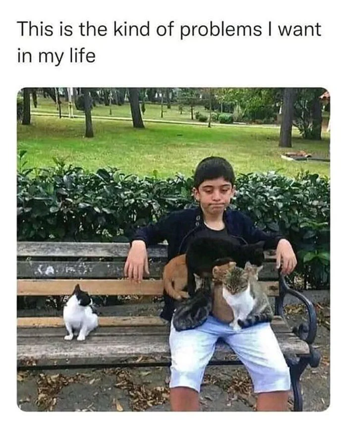 The Kind of Problems I Want In Life 1 The Kind of Problems I Want In Life