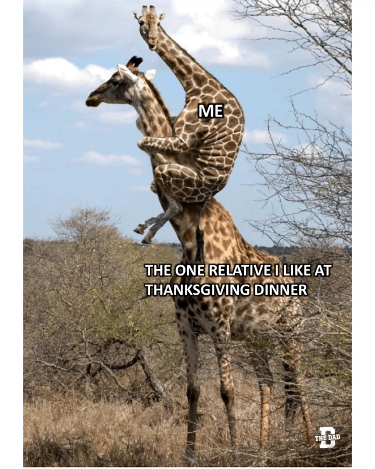34 Best "Thanksgiving Memes" For You To Celebrate The Holiday 19 The one relative I like