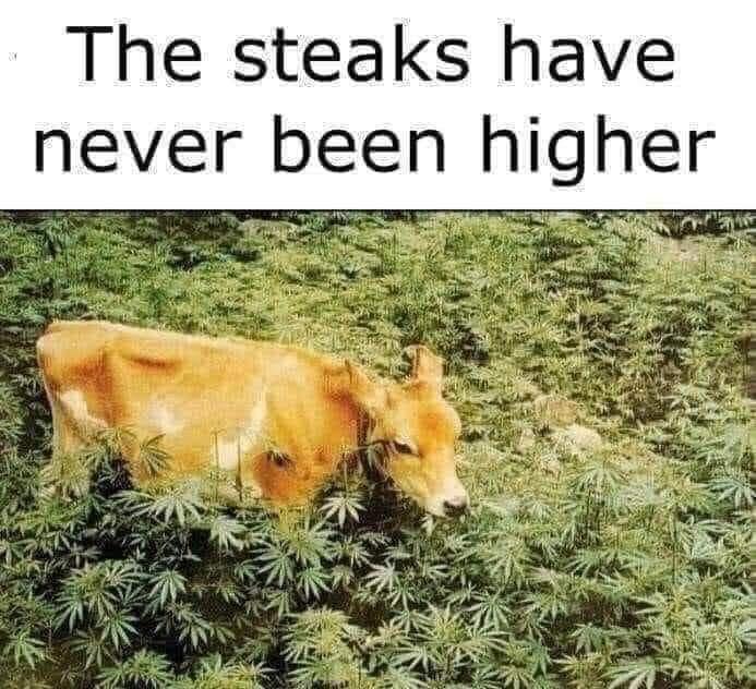 35 Funniest Pun Memes That Are Damn Punny 20 The steaks have never been higher