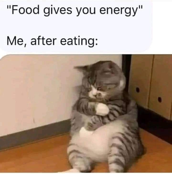 They Said Food Gives You Energy 1 They Said Food Gives You Energy