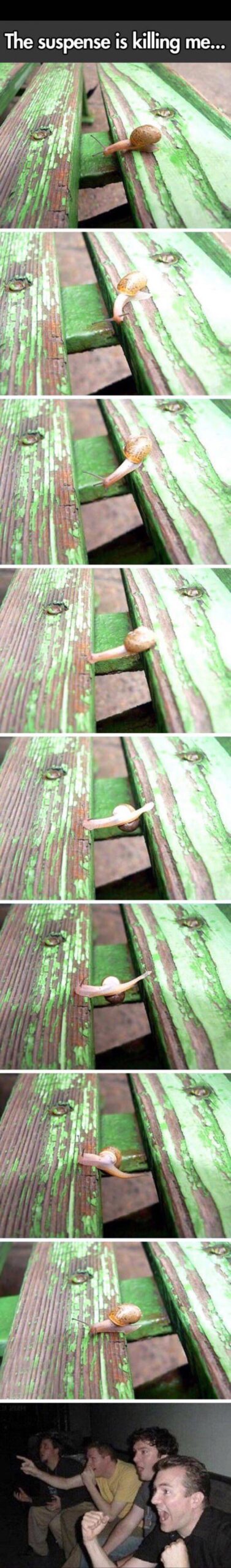 35 Random Wednesday Memes To Get You Through The Week 12 This suspense is killing me - Wednesday Memes