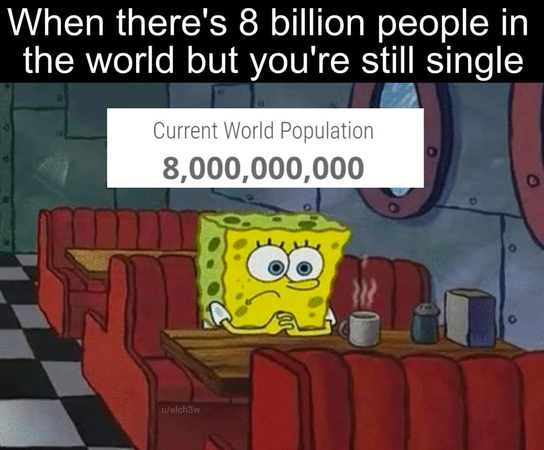 Single Memes Chameleon Memes