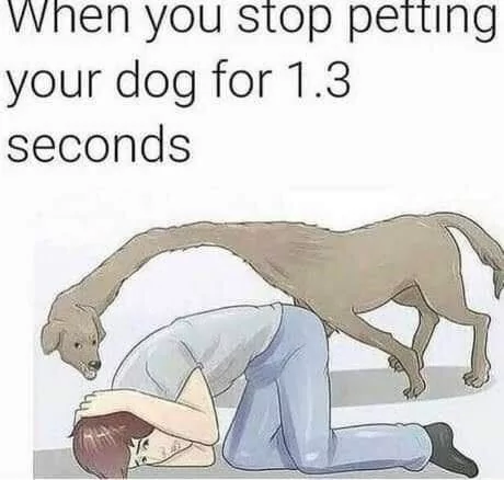 When You Stop Petting Your Dog 1 When You Stop Petting Your Dog