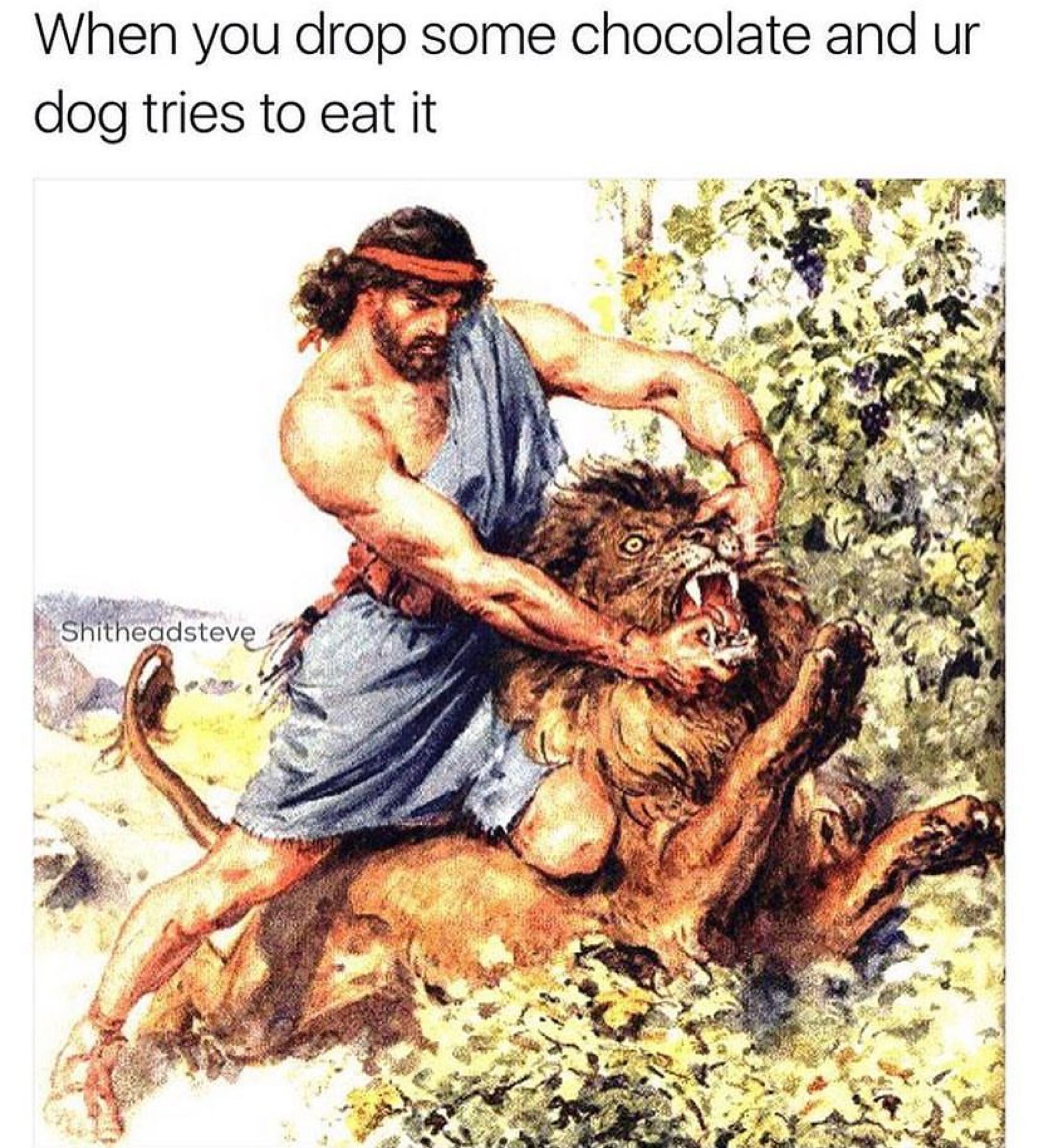 45 Classical Art Memes That Will Make You Appreciate Fine Art 14 When you drop something and your dog tires to eat it - classical art memes