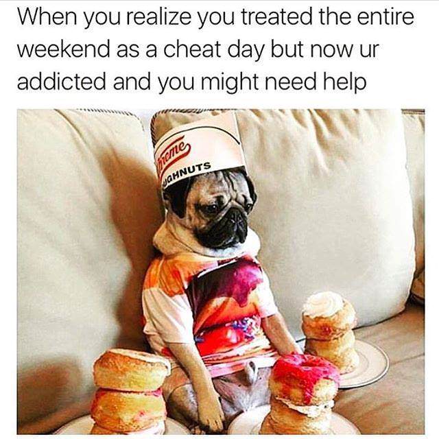 35 Funny Memes That Prove Adulting Is Hard 23 When you realize you treated the weekend as cheat day- Adulting Memes