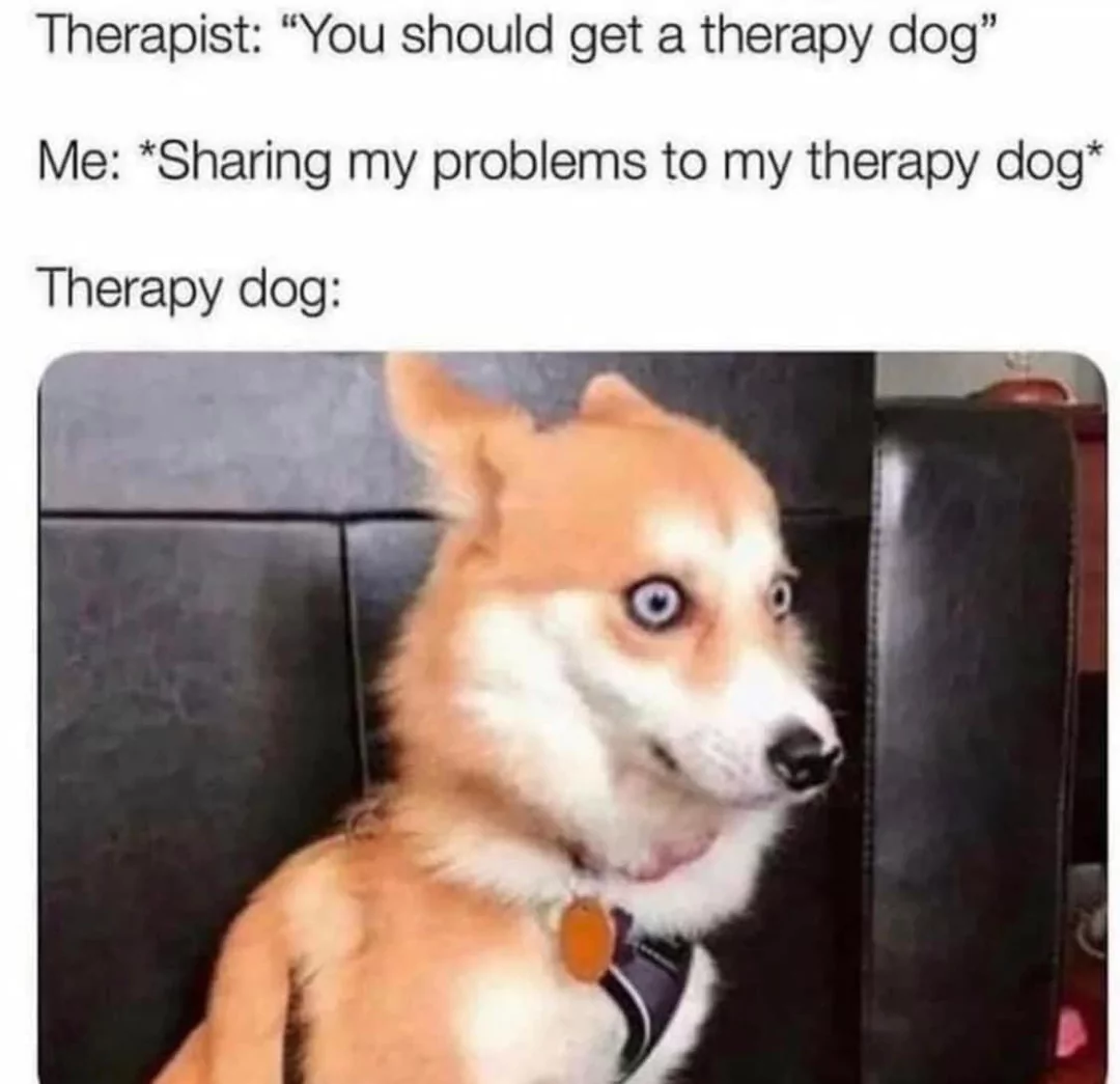 25 Anxiety Memes: The Perfect Cure For Anxiety 20 You should get a therapy dog